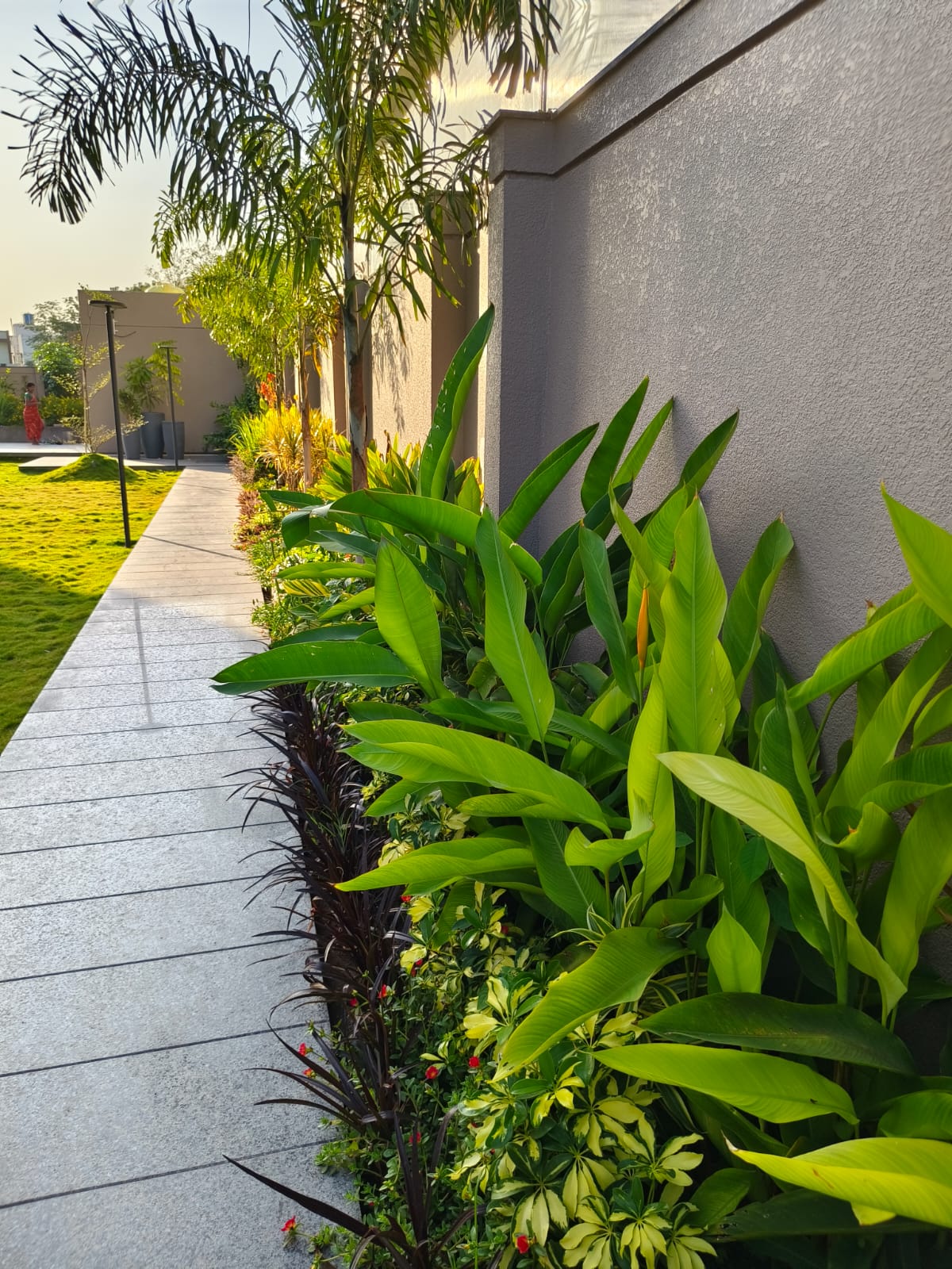 Vertical Garden & Living Wall System